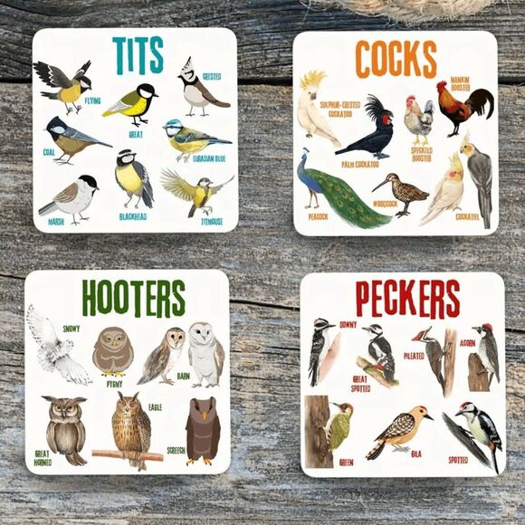 4 pcs Wooden Coaster Funny Creative Square Pun Bird Pattern NEW CUTE GIFT - Picture 1 of 3